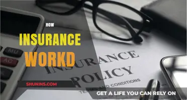 Understanding Insurance: How Policies, Premiums, and Claims Work Together