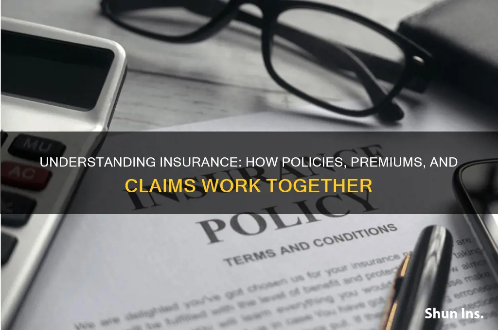 how insurance workd