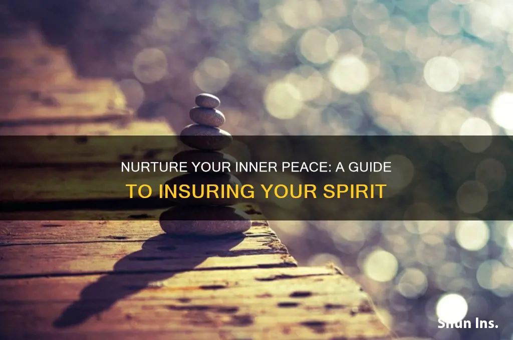 how insure your spirit spirit