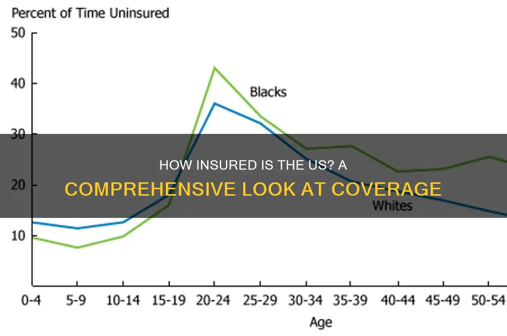 how insured is the us