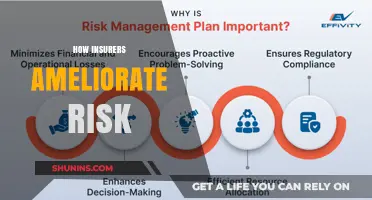 Insurers' Risk Amelioration: Strategies for a Secure Future