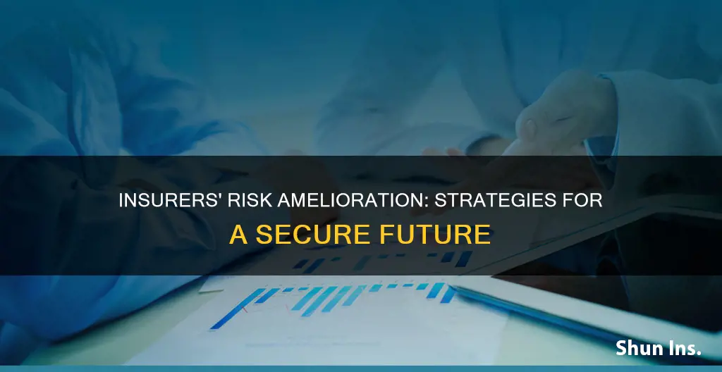 how insurers ameliorate risk