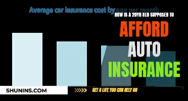 The Auto Insurance Conundrum: Affordability for Young Adults