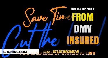 Understanding DMV Trip Permit Insurance Coverage and Requirements