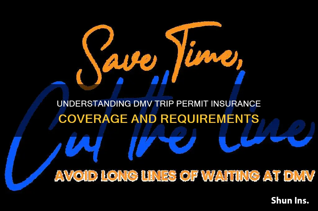 how is a trip permit from dmv insured