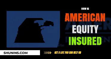 Understanding American Equity Insurance: Protection, Policies, and Peace of Mind