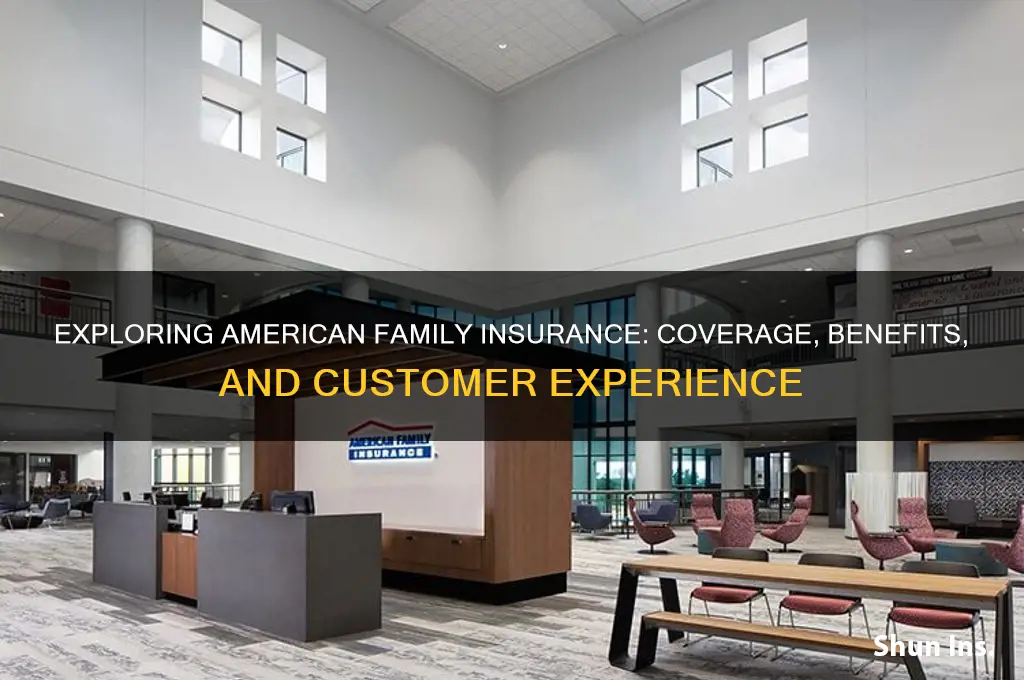 how is american family insurance