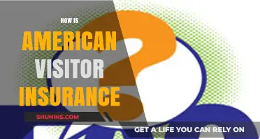 Understanding American Visitor Insurance: Coverage, Benefits, and Essential Tips