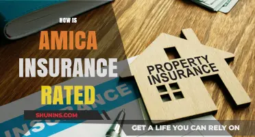 Amica Insurance: Rated and Reviewed