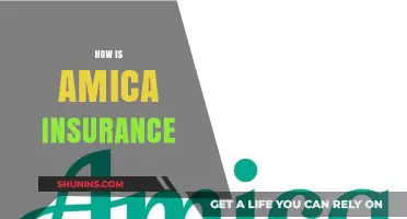 How Amica Insurance Compares: Coverage, Rates, and Customer Experience