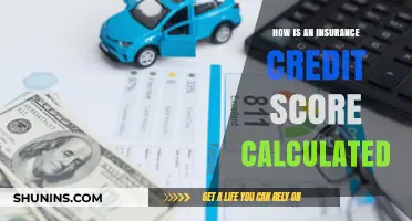 Understanding Your Insurance Credit Score: Calculation Factors Explained