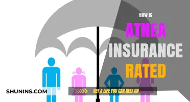 Atena Insurance: Rated and Reviewed