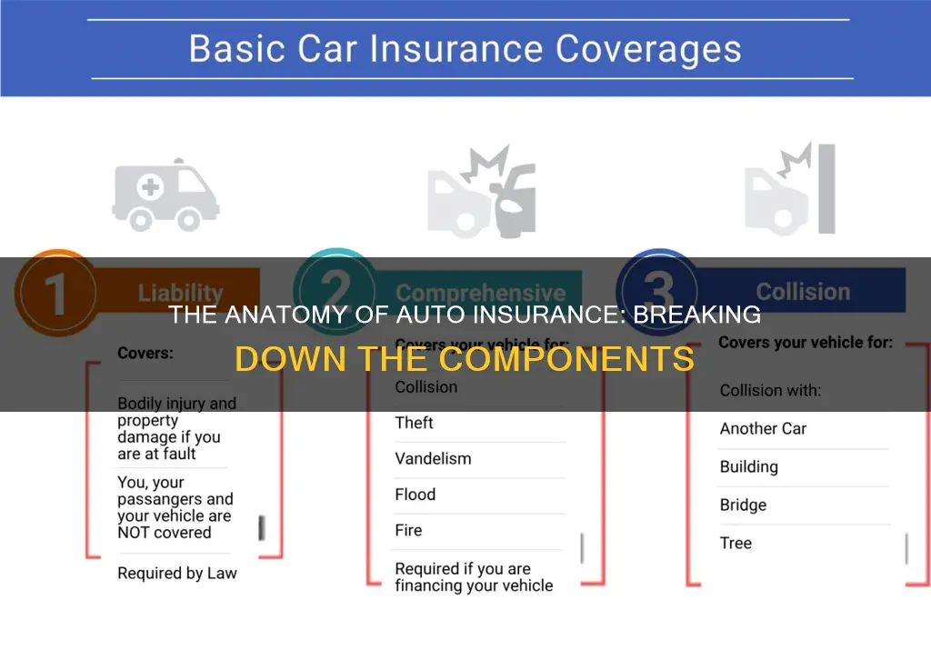 how is auto insurance broken up