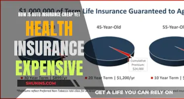 The Cost Conundrum: Auto Insurance's Affordable Advantage Over Health Insurance