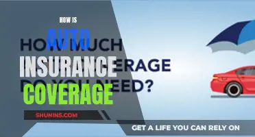 Understanding Auto Insurance Coverage: Navigating the Complexities of Protection