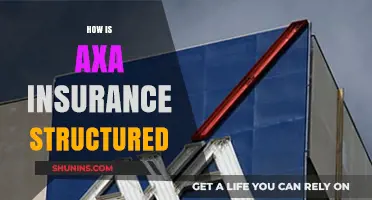 Understanding AXA Insurance: Organizational Structure and Operational Framework Explained