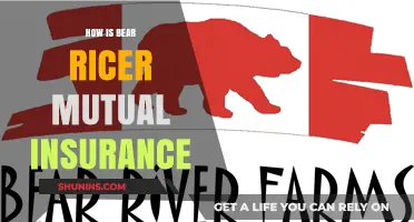 Understanding Bear River Mutual Insurance: Benefits, Coverage, and Claims Process