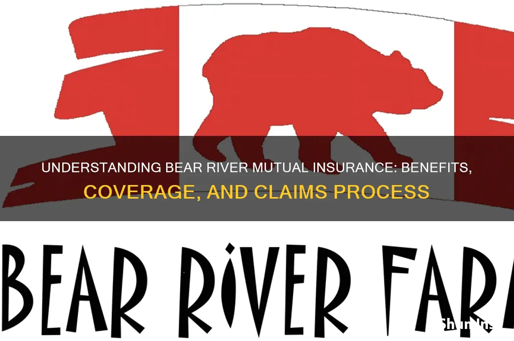 how is bear ricer mutual insurance