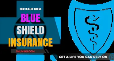 Understanding Blue Cross Blue Shield Insurance: Coverage, Benefits, and Plans
