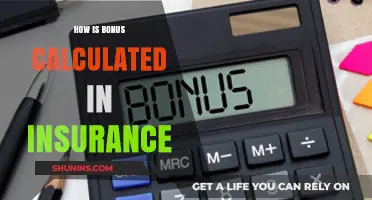 Understanding Insurance Bonus Calculations: A Comprehensive Guide for Policyholders