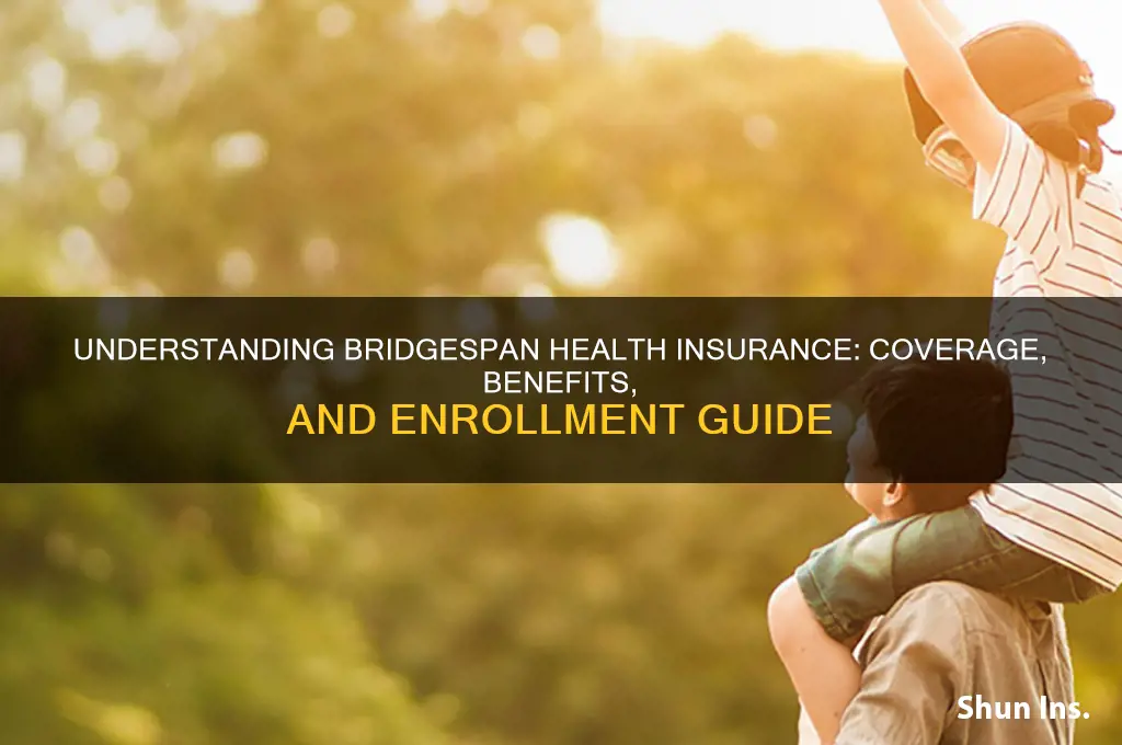 how is bridgespan health insurance