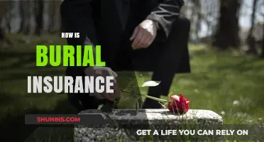 Understanding Burial Insurance: Costs, Benefits, and Planning Ahead