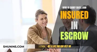 Escrow Insurance: Carry-Back Loan Protection