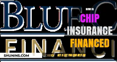 Understanding Chip Insurance Financing: Sources, Mechanisms, and Funding Models
