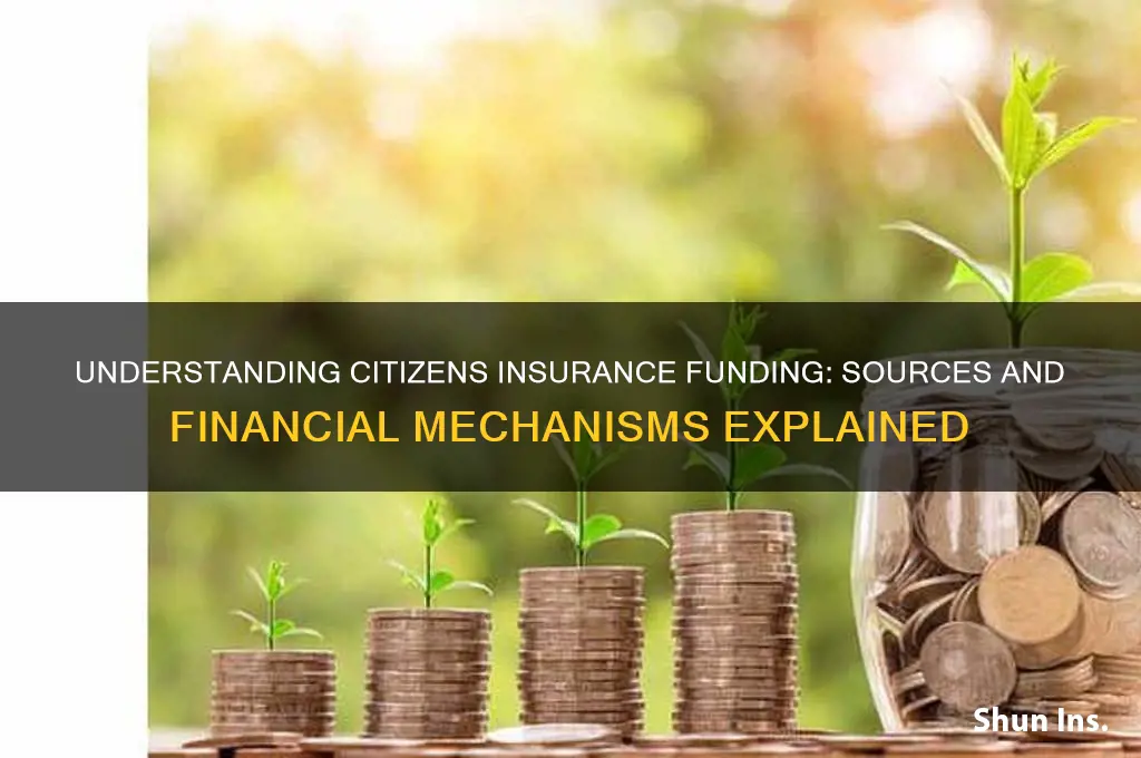 how is citizens insurance funded