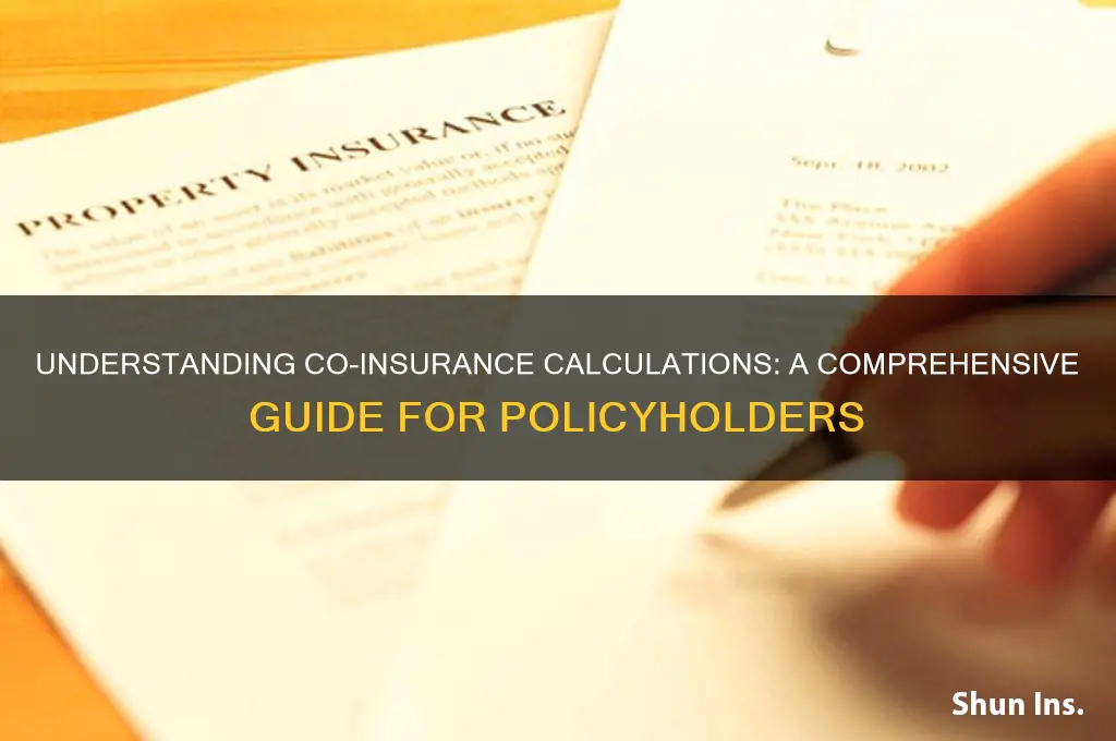 how is co insurance calculated