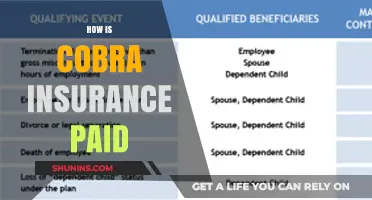 Understanding Cobra Insurance Payments: Who Pays and How It Works