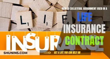 Collateral Assignment: Life Insurance Contract Flexibility