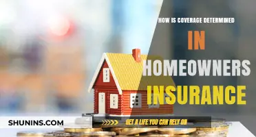 Understanding Factors Behind Homeowners Insurance Coverage