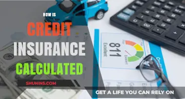 Understanding Credit Insurance Calculations: Factors, Formulas, and Premiums Explained