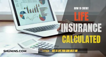 Understanding Credit Life Insurance Calculations and Their Impact