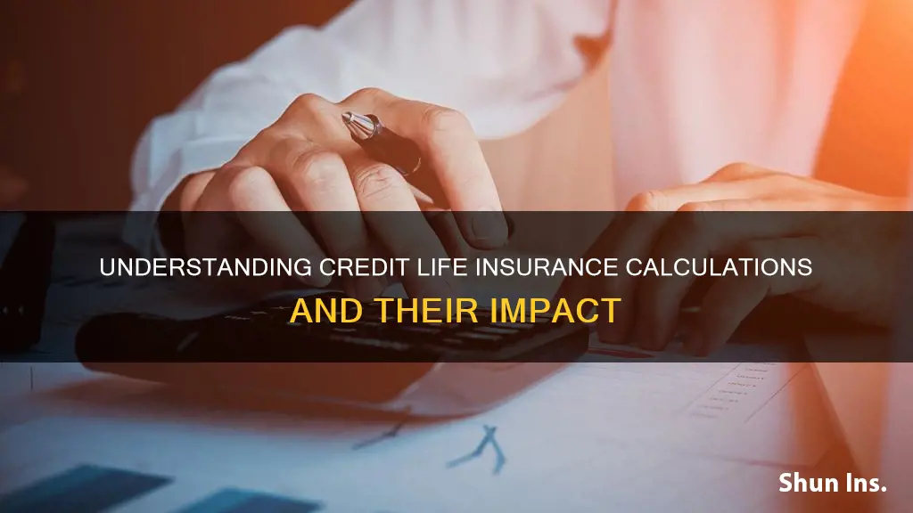 how is credit life insurance calculated