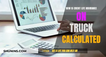 Credit Life Insurance Calculation for Truck Owners Explained