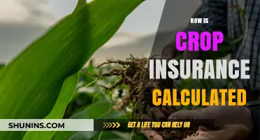 Understanding Crop Insurance Calculations: A Comprehensive Guide for Farmers