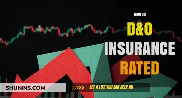 Understanding D&O Insurance: Rating Factors and Considerations