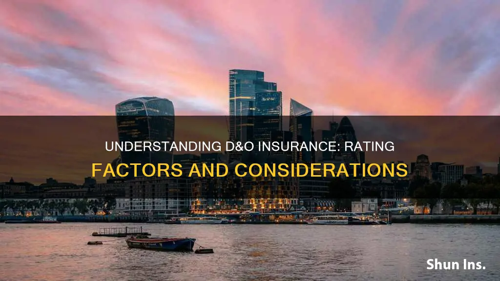 how is d&o insurance rated