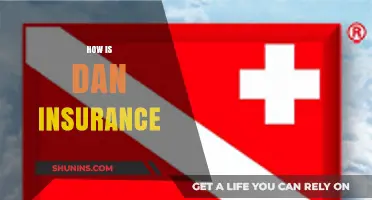 Understanding Dan Insurance: Coverage, Benefits, and How It Works for You