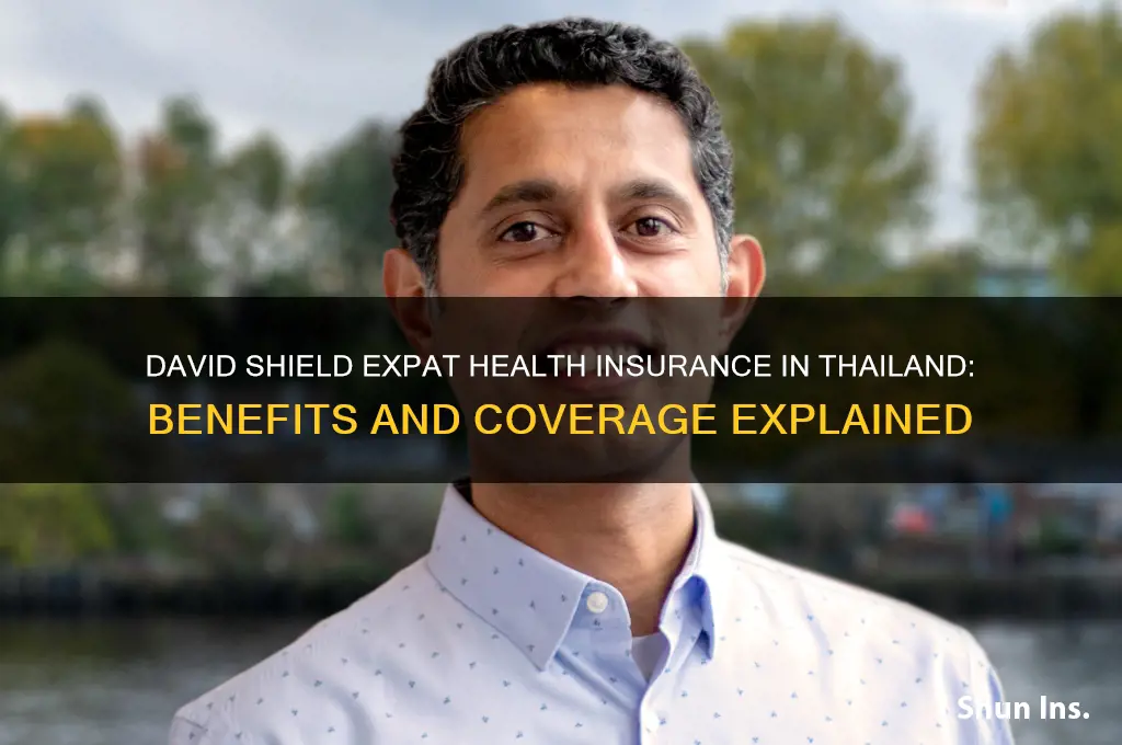 how is david shield expat health insurance in thailand