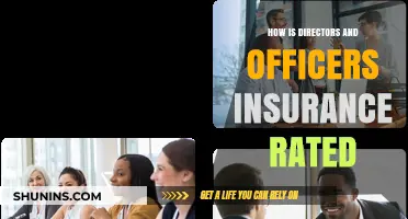 Understanding Directors and Officers Insurance: Rating Factors Explained