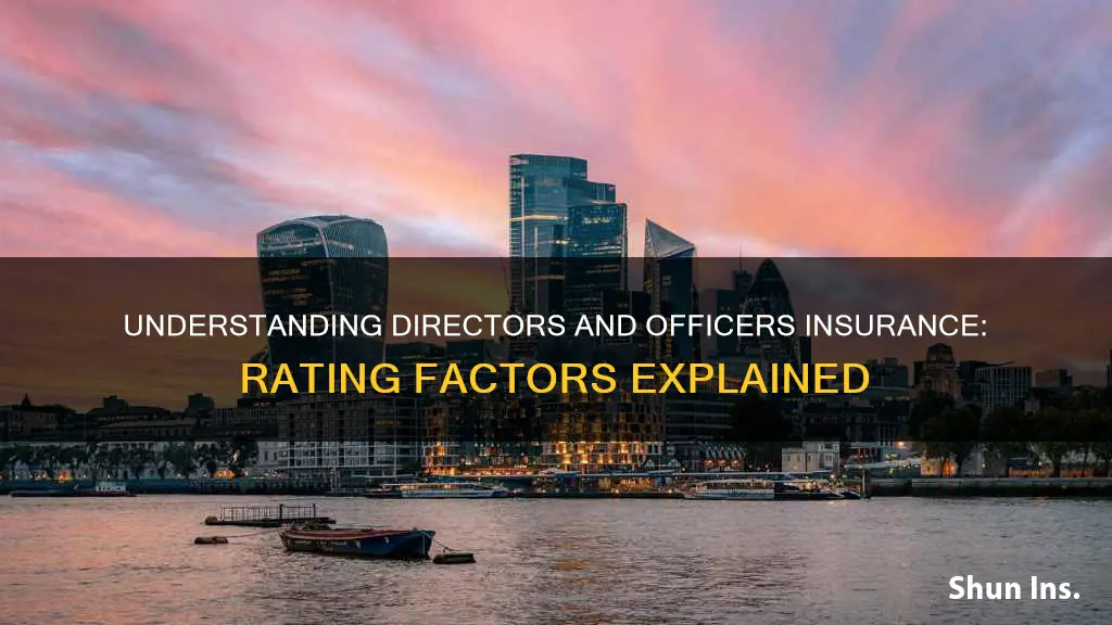 how is directors and officers insurance rated