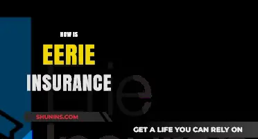 Unveiling the Mysteries of Eerie Insurance: What You Need to Know
