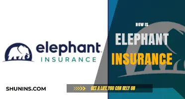 Understanding Elephant Insurance: Coverage, Benefits, and Why It Matters
