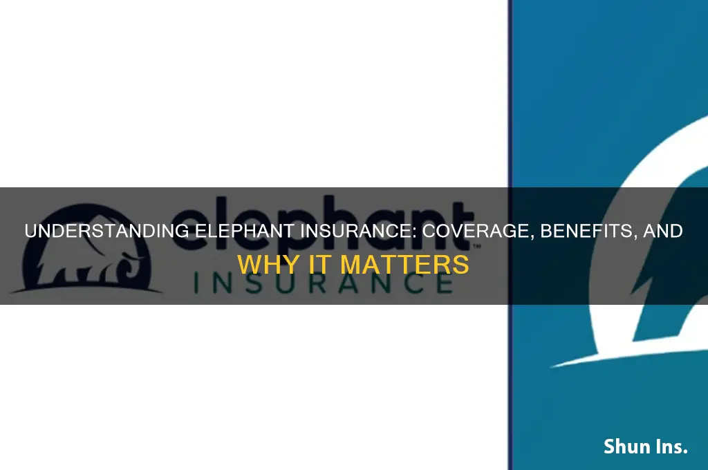 how is elephant insurance