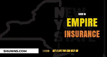 Exploring Empire Insurance: Coverage, Benefits, and Customer Experience Insights