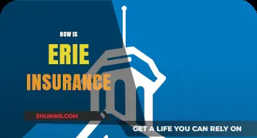 Exploring Erie Insurance: Coverage, Benefits, and Customer Satisfaction Insights