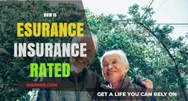 Esurance Insurance: Is It Worth the Hype?